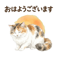Fluffy Calico Cat Polite Stickers