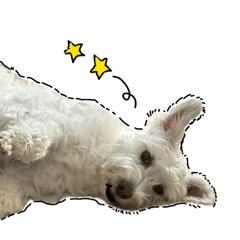 Shiro_20260405000240