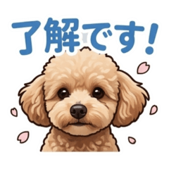 pumpkin_20260405001207