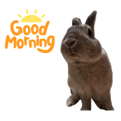 daddy_20260405000706