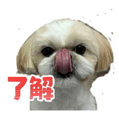 eishin_20260405054949