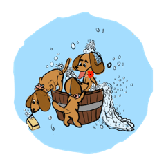 Jessie the Sausage dog