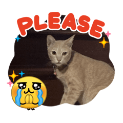 Chucream_20260405143801