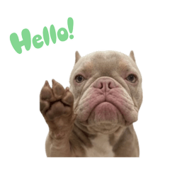 Sale Rent_20260405143413