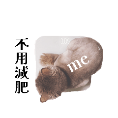 請給予很多的愛