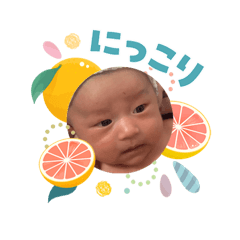 midori_20260404071259