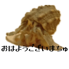 Tomokicchi_20260404073510