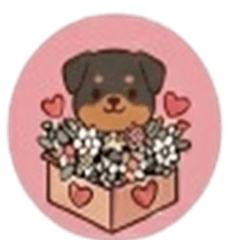 Rottweiler Intense Emotions