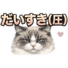 mutakun_20260404075723