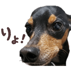 hayasu_20260405074919