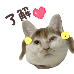 yumenokuni_20260405074245