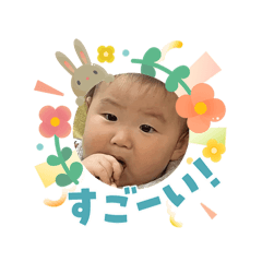 hamukatu_20260405081709