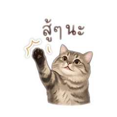 Zebar_20260405171906