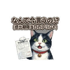 Frantic Morning Tuxedo Cat