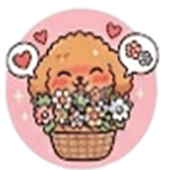 Toy Poodle's Intense Emotions