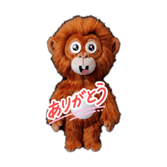 Cute and funny orangutans