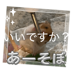 melonchan_20260404125939