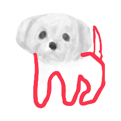 mikan_20260404132411