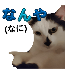 anryu_20260404134553