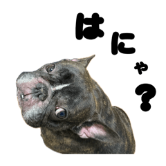 MrBoo_20260404144051