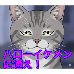 raamen kaizaa VOX maikeru_20260404134724