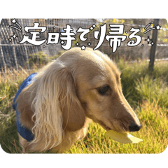 Nisei Onomura_20260404151715