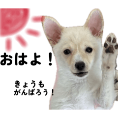 TANTANTAN_20260404152759