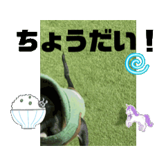 shiori_20260404161855