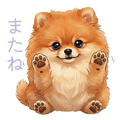 Pomeranian Stickerwan