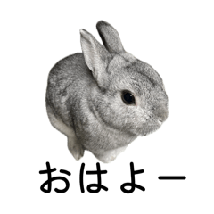 chamiramama_20260405003413