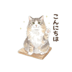 luffy Norwegian Forest Cat Greetings 3