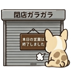 Cute French Bulldog 426L Funny24