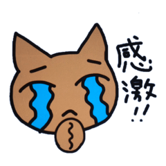 wakana_20260405083724