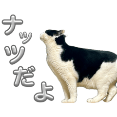 hazumu_20260405090250