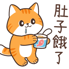 The orange cat is hungry