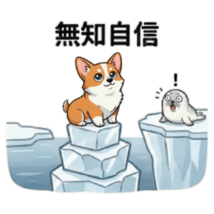 ★可愛科基★ 無知自信