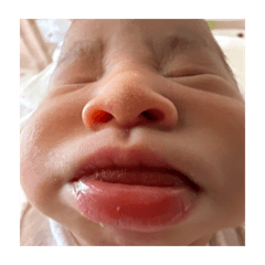 Ichika_20260405084338