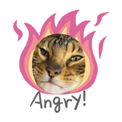 elvis_20260405141540