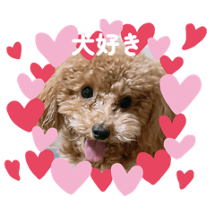 izumi_20260405142139