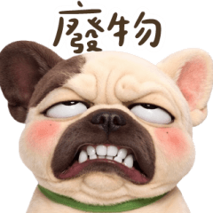 鬥牛不爽想咬人! 大貼圖