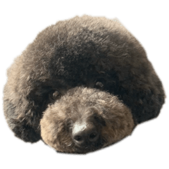 airabuyuu_20260404181715