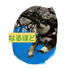 Kametani_20260405100443