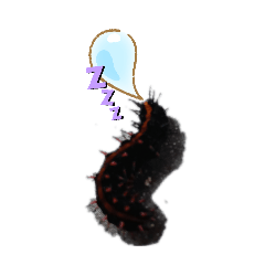 NakamuraAyame_20260405145336