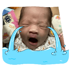 Frankie_20260405202057