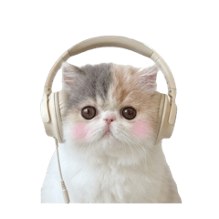 mataro_20260405112626