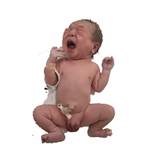 sally.y_20260405152630