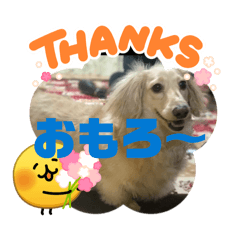 yoshiyuking_20260405154855