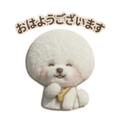language for Afro-haired Bichon Frises