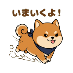 Shiba Mugi Call -Pair with Kinako!