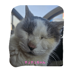 Chiemi_20260405162841